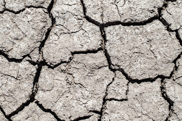 cracked dry earth background close-up