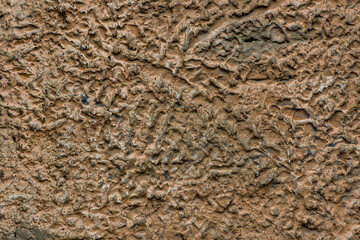 Wall, texture, cement, concrete, cracks, dirt, gravel, texture of the sand