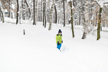 Little Boy Having Fun in the Snow
