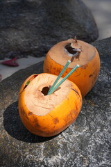 Drinking a fresh coconut with a straw on a tropical beach in the Seychelles