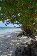 View of the picturesque tropical Beau Vallon Beach in Mahe, Seychelles, on the Indian Ocean
