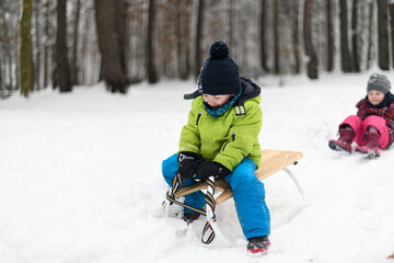 Beautiful Siblings Sledding on Snow