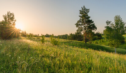 Calm rural landscape with rolling hills in morning light