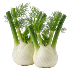 Two fresh fennel bulbs with green stalks isolated on transparent background, showcasing the vegetables unique texture and vibrant color, perfect for culinary or healthrelated content