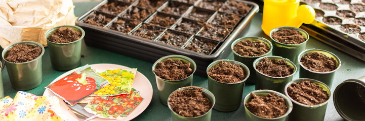 Starting tomato seeds indoors involves filling pots with soil, arranging containers, and organizing tools for a successful planting experience at home, banner