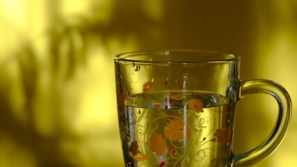 Close up glass cup with pure water, tonic water, dark yellow background with moving shadow. Early morning. Start new day. Drinking to avoid dehydration, manage weight and care for healthy habits. 