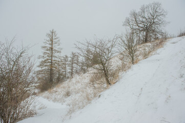 Schneelandschaft aufsteigender Wanderweg Gustav-Str&ouml;hmfeld-Weg und Eduard M&ouml;rike Weg am ehemaligen Vulkanschlot Jusiberg in Kohlberg mit kahlen B&auml;umen vor grauem Himmel.