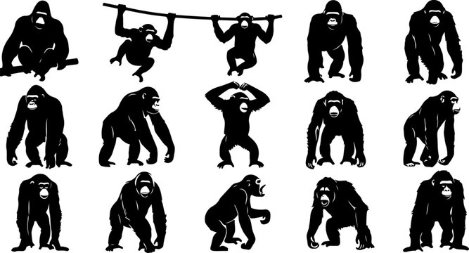 &ldquo;Monkey Silhouette Collection&rdquo;