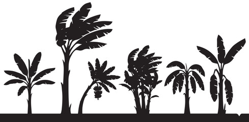 Silhouettes of various tropical trees, including banana and palm trees, some appearing to be swaying in the wind, against a white background.
