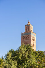 Mosquée Koutoubia et  végétation, Marrakech, Maroc