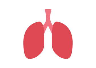 illustration of a pair of lungs isolated on a white background
