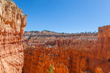 Expansive canyon view with unique red rock formations. Bryce Canyon, UTAH, USA
