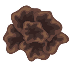 Fresh wood ear mushroom vector illustration for culinary and healthy food concept