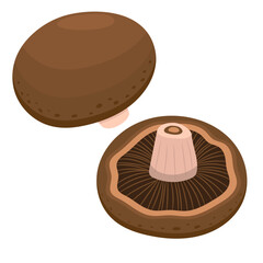 Organic portobello mushroom vector illustration isolated on white