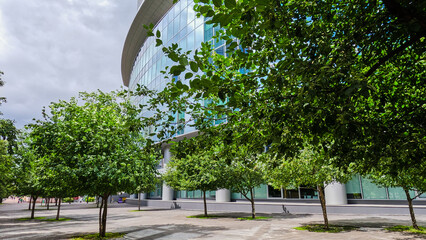 A city alley with green trees. Trees with dense green foliage create a shady, cool corner.