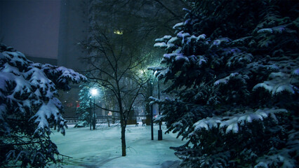 Fabulous view of the snow-covered city park at night, with trees in the snow, cozy warm light of lanterns.