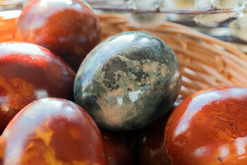 Close-up of Naturally Dyed Easter Eggs with Pussy Willows in Bokeh