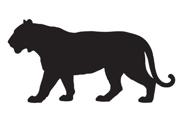 Fototapeta premium Powerful black silhouette of a majestic tiger walking silhouette