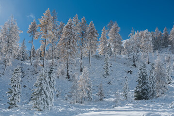 Kremstal  bei Neuschnee in &Ouml;sterreich