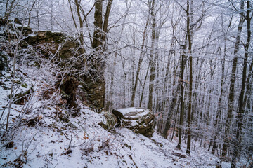 Germany, White snow covered winter landscape nature panorama silence inside forest rocky scenery between the trees