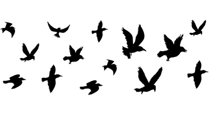 Fototapeta premium Flying flock of birds silhouette, Simple swallows in flight, crows in the sky. Group of birds border.