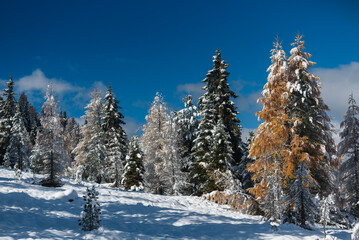 Kremstal  bei Neuschnee in &Ouml;sterreich