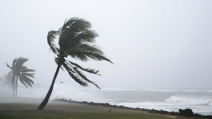  Formation, Classification, Impacts Across Sectors, and Mitigation Strategies