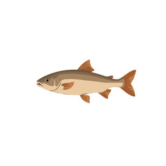 Stylized 3D fish with smooth surface and natural colors