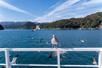 Birds fly near water while one bird stands on a railing during daytime in a coastal area with hills in the background