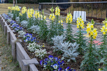 Bright flowers grow in a garden bed along a pathway in a park during the day while people enjoy outdoor activities nearby