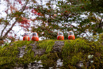 Four Daruma dolls placed on a mossy log in a forest during autumn with colorful leaves