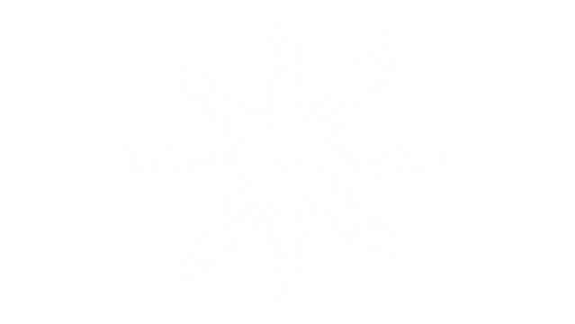 white background with alpha channel.illustration of a starburst or sparkle symbol. 