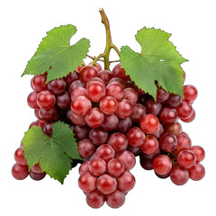 Fototapeta premium Red grapes with green leaves on isolated on white transparent background png 2025 2026 download