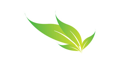 Fresh vibrant green stylized leaves with prominent veins organic natural illustration.