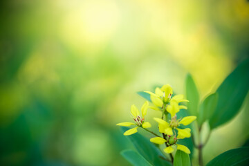 Naturally inspired, beautifully created &mdash; feel the calm of green serenity