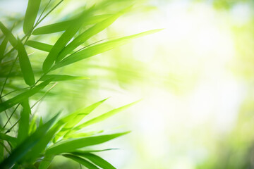 Naturally inspired, beautifully created &mdash; feel the calm of green serenity