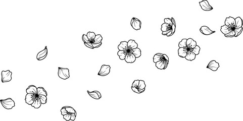 delicate descent springs whisper etched in scattered floral elegance, isolated on transparent background