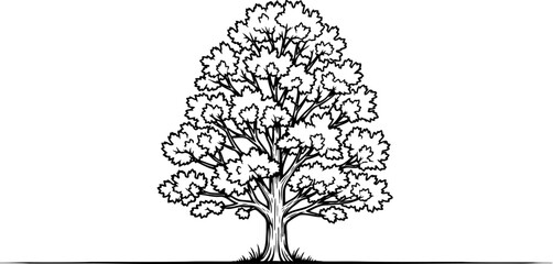 natural legacy a simple emblem of growth, stability, and our planets enduring spirit, isolated on transparent background