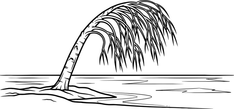 the wanderers embrace a solitary palm bending towards distant horizons and coastal dreams, isolated on transparent background