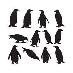 Obraz premium Penguins Silhouettes Collection,Penguins Silhouettes,Vector Penguins Silhouettes,Emperor Penguins Silhouettes,penguin vector
