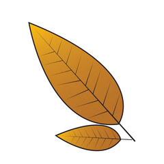 Two Stylized Brown Leaves with Veins Simple Autumnal Illustration on White Background.