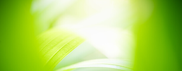 Naturally inspired, beautifully created &mdash; feel the calm of green serenity