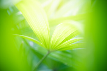Naturally inspired, beautifully created &mdash; feel the calm of green serenity