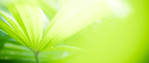 Naturally inspired, beautifully created &mdash; feel the calm of green serenity