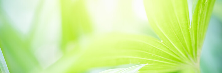 Naturally inspired, beautifully created &mdash; feel the calm of green serenity