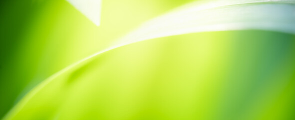 Naturally inspired, beautifully created — feel the calm of green serenity