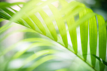 Naturally inspired, beautifully created &mdash; feel the calm of green serenity