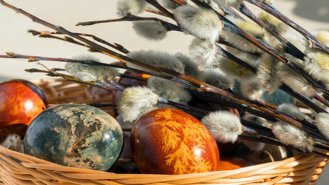 Close-up of Naturally Dyed Easter Eggs with Pussy Willows in Bokeh