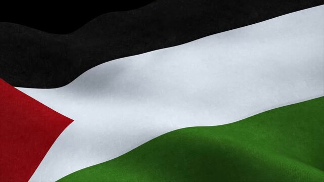 View of the Palestine flag waving in wind animation isolated on black background