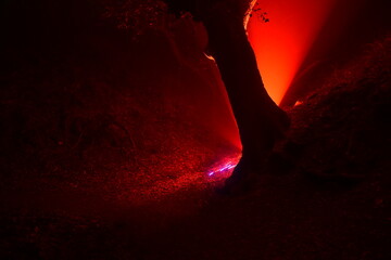 Haunting red glow in a dark forest at night